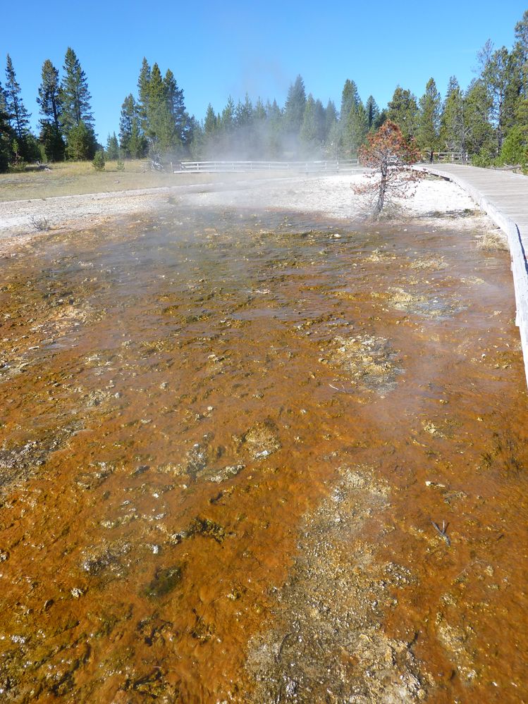 Yellowstone West Thumb Area (14).JPG